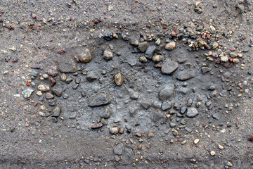 A dried-up puddle on a forest road. Traces of the morning rain on the forest vista.