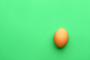 Fresh egg on color background