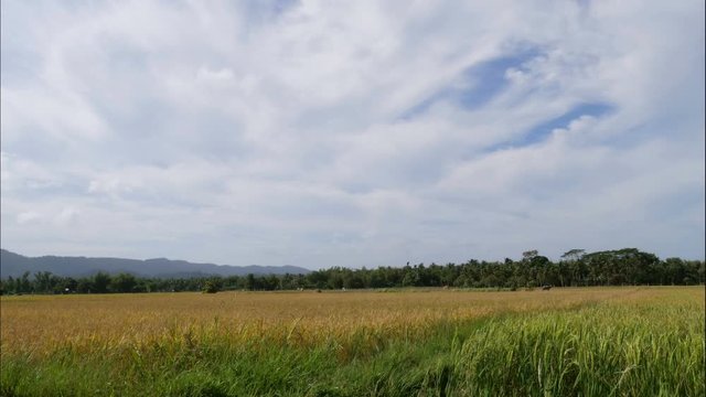 Clouds over rice fields in Philipinnes, time lapse
