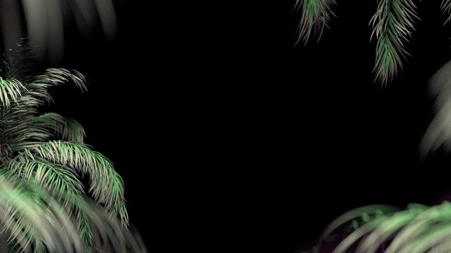 Frame of palm leaves on a black background. Blurry trees sway in the wind.