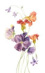 Watercolor flowers collected in a bouquet. Summer flowers: pansies, nasturtium, bell.