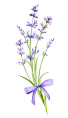 Naklejka premium Watercolor illustration. A bouquet of lavender with a bow on an isolated white background.