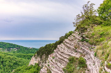 Mountain with a steep rocky slope and valley with thick green forest below.
