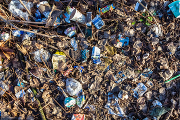 Garbage in pine forest. People illegally thrown garbage into forest. Concept of man and nature....