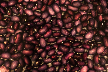 A good dish of soaked beans