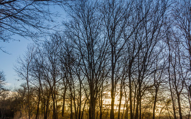 Brownwood Tx Riverside park autumn  fall 