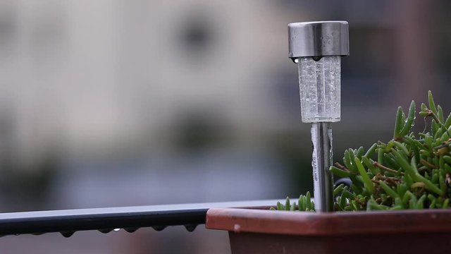 Raining on a solar lamp impaled to a flower pot