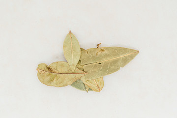 Bay leaves on a white background close-up