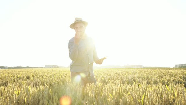 Young farmer checking the wheat ears on field on dazzling sunset