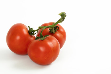 TOMATOES RED