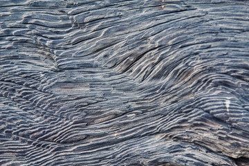 Close up of pattern in aged wood