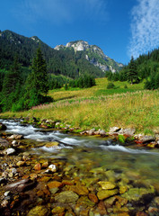 Koscieliska Valley, Tatry National Park