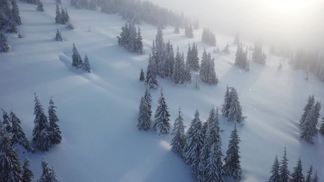Drone aerial flying above forest in the mountains. Top view of Snowy wether at sunset