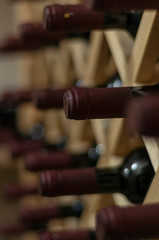Wine cellar with bottles on wooden shelves