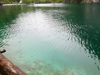 Waterfal, lake, cascades, canyon and wooden bridge in Plitvice Lakes National Park, one of the oldest and largest national parks in Croatia, ex Yugoslavia
