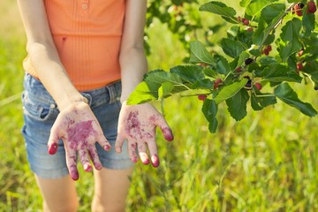 Girl child standing under tree with ripe mulberries with dirty berry hands