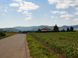 Fototapete bei efototapeten.de bestellen   