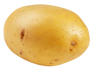 potato, isolated on white background, clipping path, full depth of field