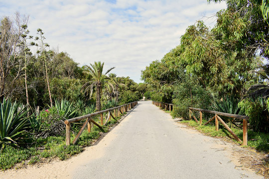 Alfonso XIII Park in Guardamar del Segura, Alicante. Spain. Europe. September 23, 2019