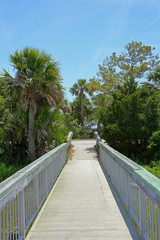 Wooden walkway heading towards palm trees