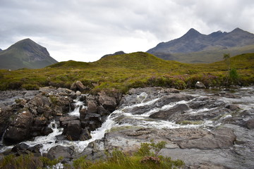 Fototapeta na wymiar Spring down the hill at the foot of the Cuillin mountains in the Scottish highlands. Discover British wild plants and lush greenery on a moderate day hike.