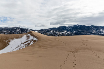 Landscape view of dunes at Great Sand Dunes National Park in Colorado, the tallest sand dunes in North America.