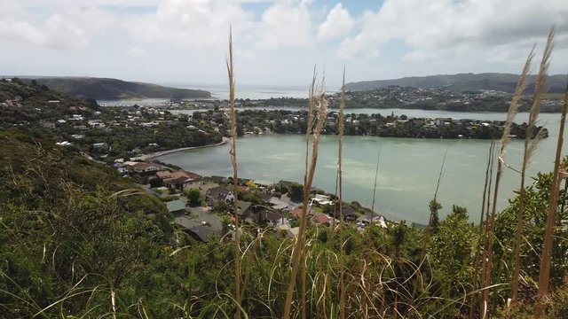 Looking out over the inlet in the suburb of Paremata, near Wellington New Zealand