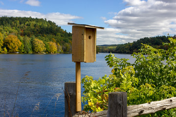 bird feeder birdhouse kindness feeding birds