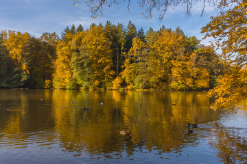 Fototapeta na wymiar Autumn morning at lake Thal near Graz, Styria region, Austria