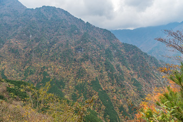 愛媛の紅葉