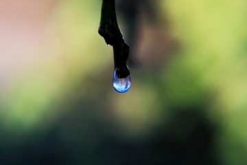 water drops