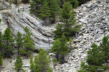 Mount Rushmore valley with rock debris