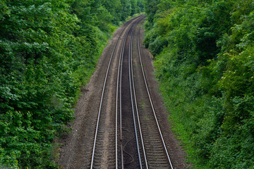 Obraz premium railway in forest