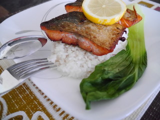 salmon and rice