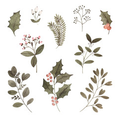 Watercolor Christmas plants, branches and berries. Hand painted holly, mistletoe white, eucalyptus, pine branches, berries. Floral botanical illustrations for cards, design, print. - 309870141