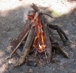 Campfire started on camping site on ground