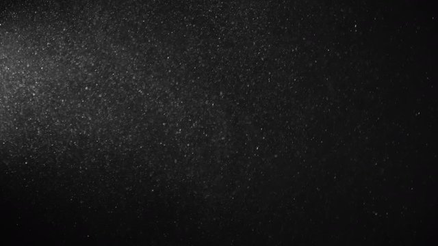 Natural Organic Dust Particles Floating On Black Background. Glittering Sparkling Particles Randomly Spin In The Air With Bokeh. Dynamic Particles With Fast And Slow Motion. Shimmering Dust In Space.