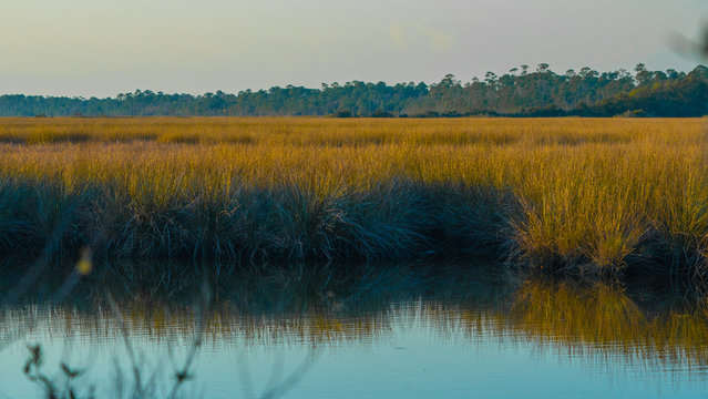 A typical salt marsh from the Gulf Coast at sun set. 