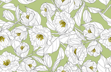 Obraz premium seamless floral pattern with flowers on green background