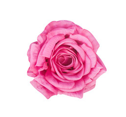 Pink rose  fabric flowers top view isolated on white background and clipping path