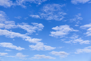 Fototapeta premium blue sky with white clouds
