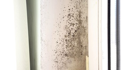 Toxic black mold growth on window slope in kitchen