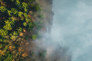 Amazing aerial view of foggy and colorful forest on sunrise. Autumn landscape. Drone shot