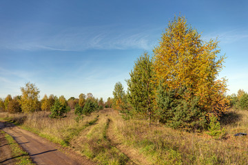Fototapeta na wymiar sunny autumn landscape