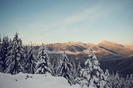 mountains in winter