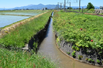 農業用水路