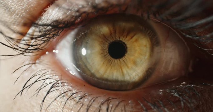 Extreme close up shot of beautiful female eye with green iris blinking and looking at camera - 4k footage