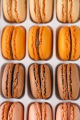 French macaroons, varied selection, colorful. Vertical photo.