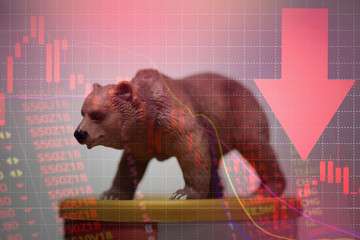 bull and bear market concept with stock chart digital numbers crisis red price drop arrow down chart fall - stock market bear finance risk trend investment business and money losing moving economic