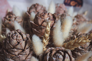 Natural, organic composition of pine cones, ears of wheat and fluffy cotton. Close-up.